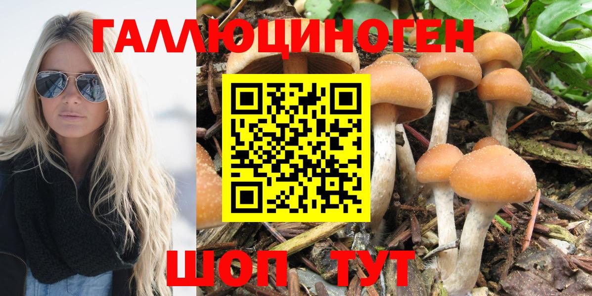 Псилоцибиновые грибы Cubensis Дюртюли