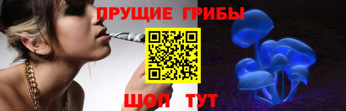 Псилоцибиновые грибы Psilocybine cubensis  Псилоцибиновые грибы Psilocybine cubensis  Вход с VPN  Дюртюли 